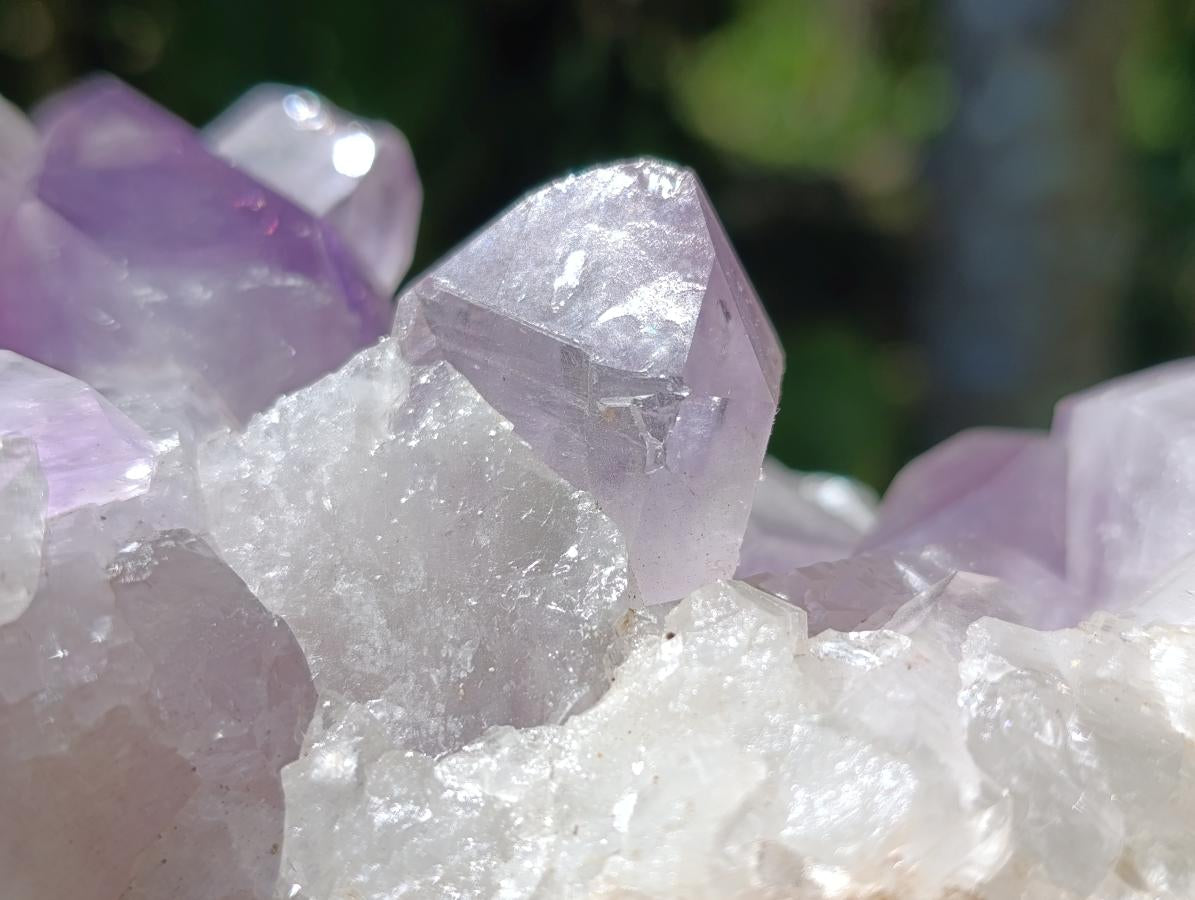 Natural Large Jacaranda Amethyst Crystal Cluster x 1 From Mumbwa, Zambia