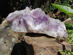 Natural Large Jacaranda Amethyst Crystal Cluster x 1 From Mumbwa, Zambia