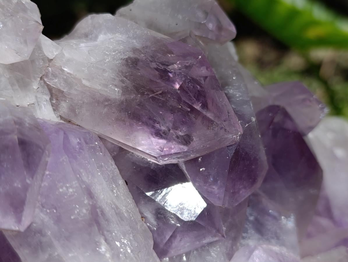 Natural Large Jacaranda Amethyst Crystal Cluster x 1 From Mumbwa, Zambia