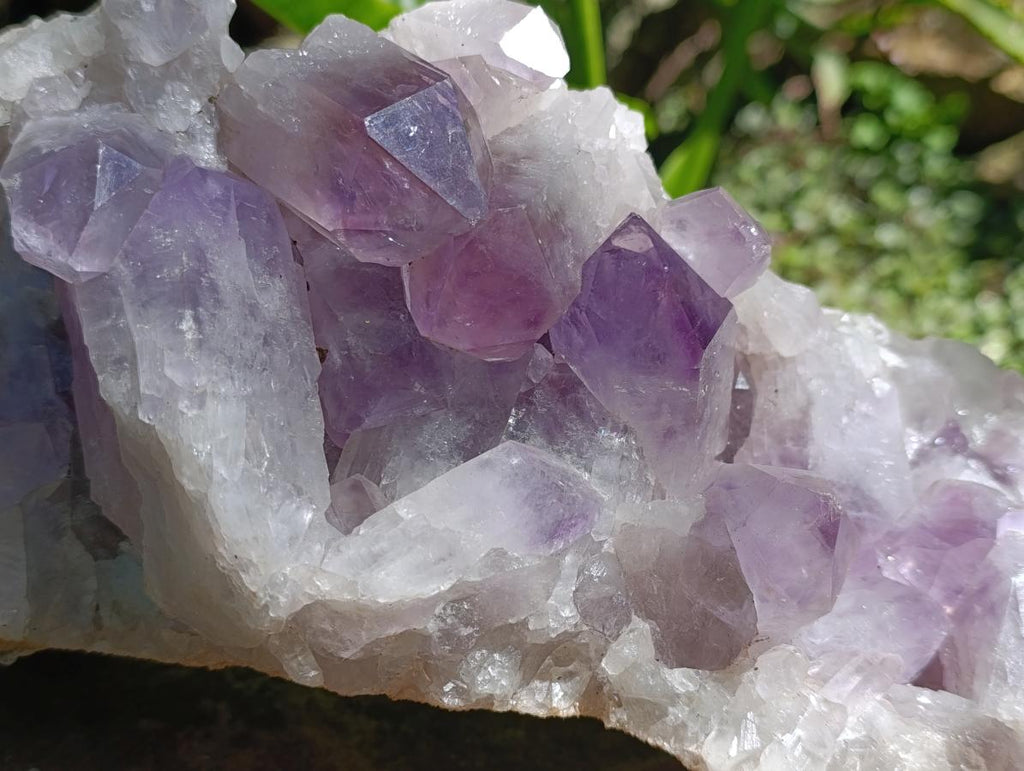Natural Large Jacaranda Amethyst Crystal Cluster x 1 From Mumbwa, Zambia