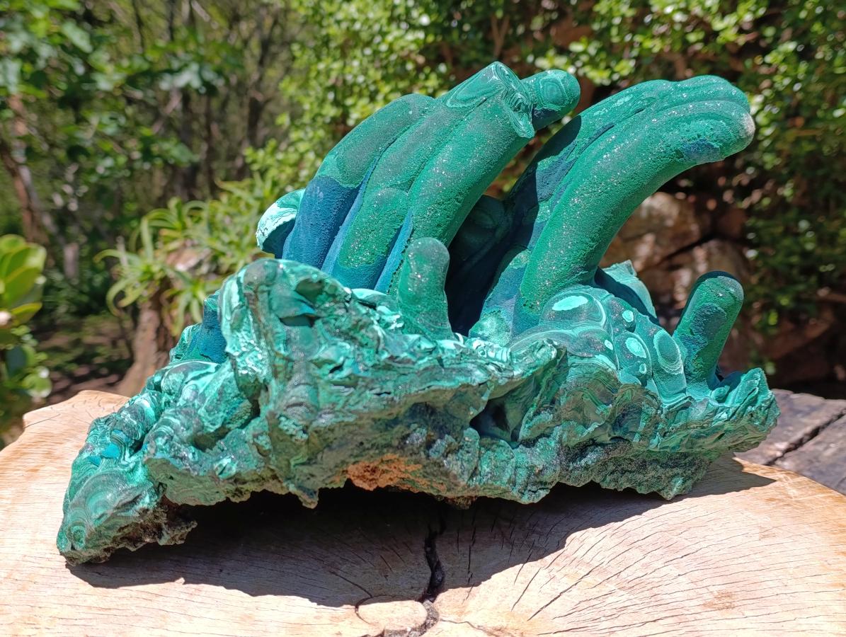Natural XL Exquisite Malachite Stalagmite Specimen x 1 from Kasompe, Congo