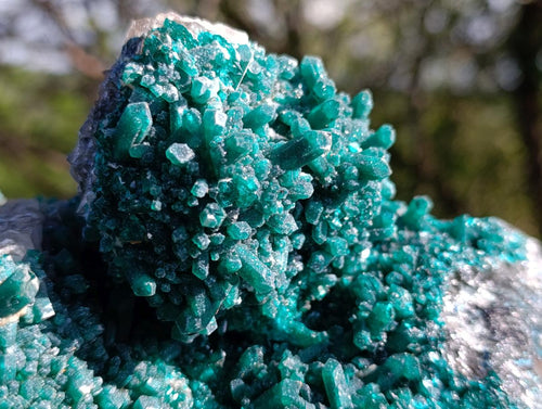 Natural XL Rare Dioptase and Drusy Dolomite Museum Specimen x 1 From Manamba Mine, Congo