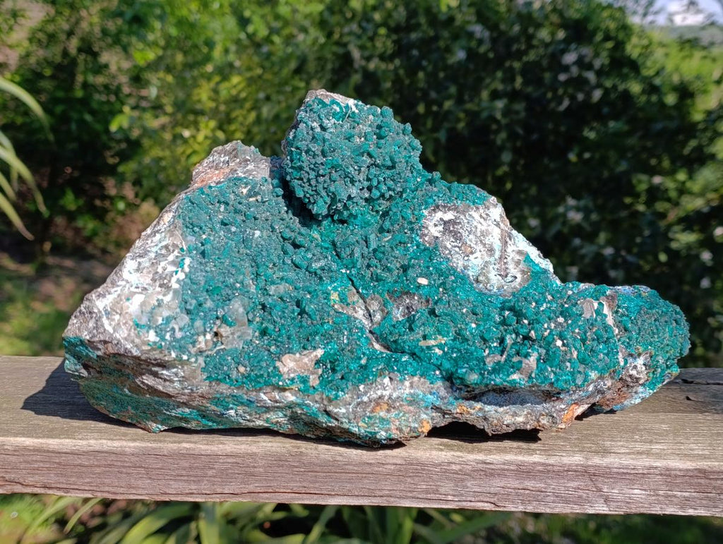 Natural XL Rare Dioptase and Drusy Dolomite Museum Specimen x 1 From Manamba Mine, Congo