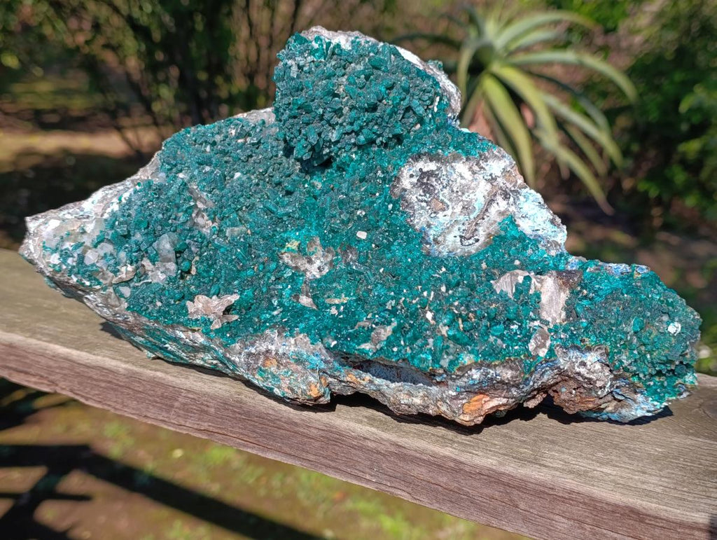 Natural XL Rare Dioptase and Drusy Dolomite Museum Specimen x 1 From Manamba Mine, Congo
