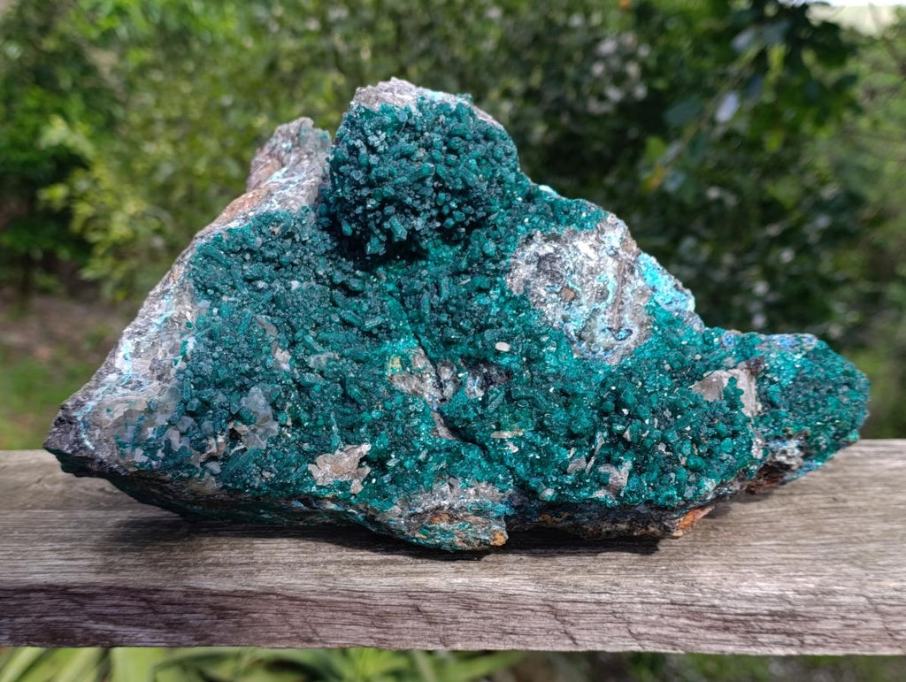 Natural XL Rare Dioptase and Drusy Dolomite Museum Specimen x 1 From Manamba Mine, Congo