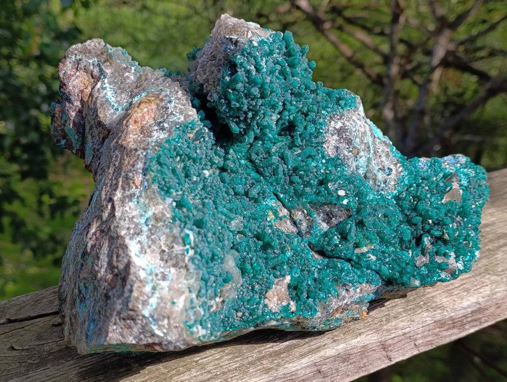 Natural XL Rare Dioptase and Drusy Dolomite Museum Specimen x 1 From Manamba Mine, Congo