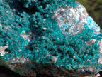 Natural XL Rare Dioptase and Drusy Dolomite Museum Specimen x 1 From Manamba Mine, Congo