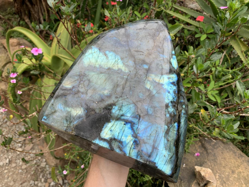 Polished XL Blue Flash Labradorite Standing Free Form x 1 From Tulear, Madagascar