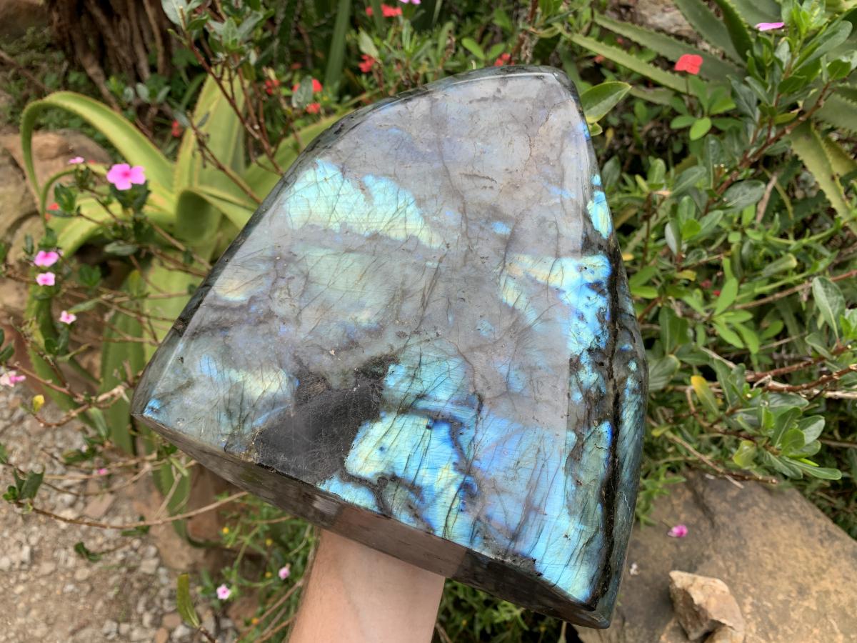 Polished XL Blue Flash Labradorite Standing Free Form x 1 From Tulear, Madagascar