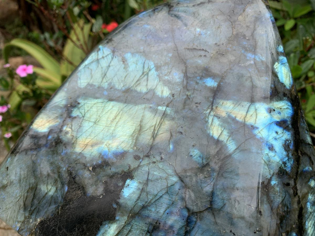 Polished XL Blue Flash Labradorite Standing Free Form x 1 From Tulear, Madagascar