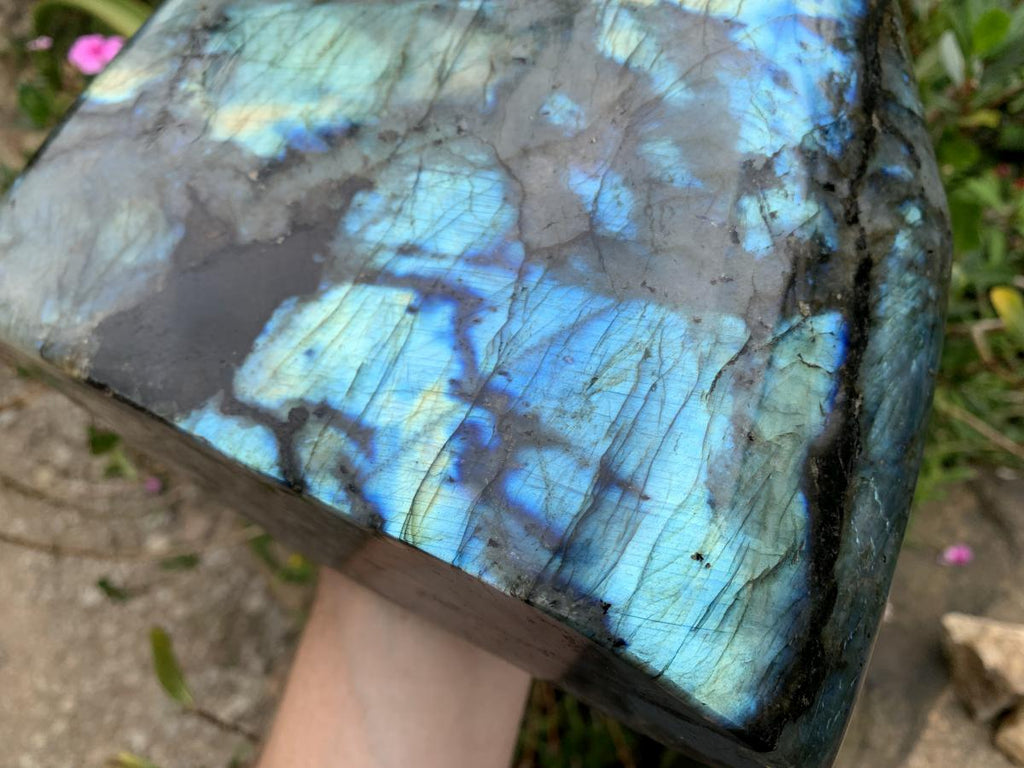 Polished XL Blue Flash Labradorite Standing Free Form x 1 From Tulear, Madagascar