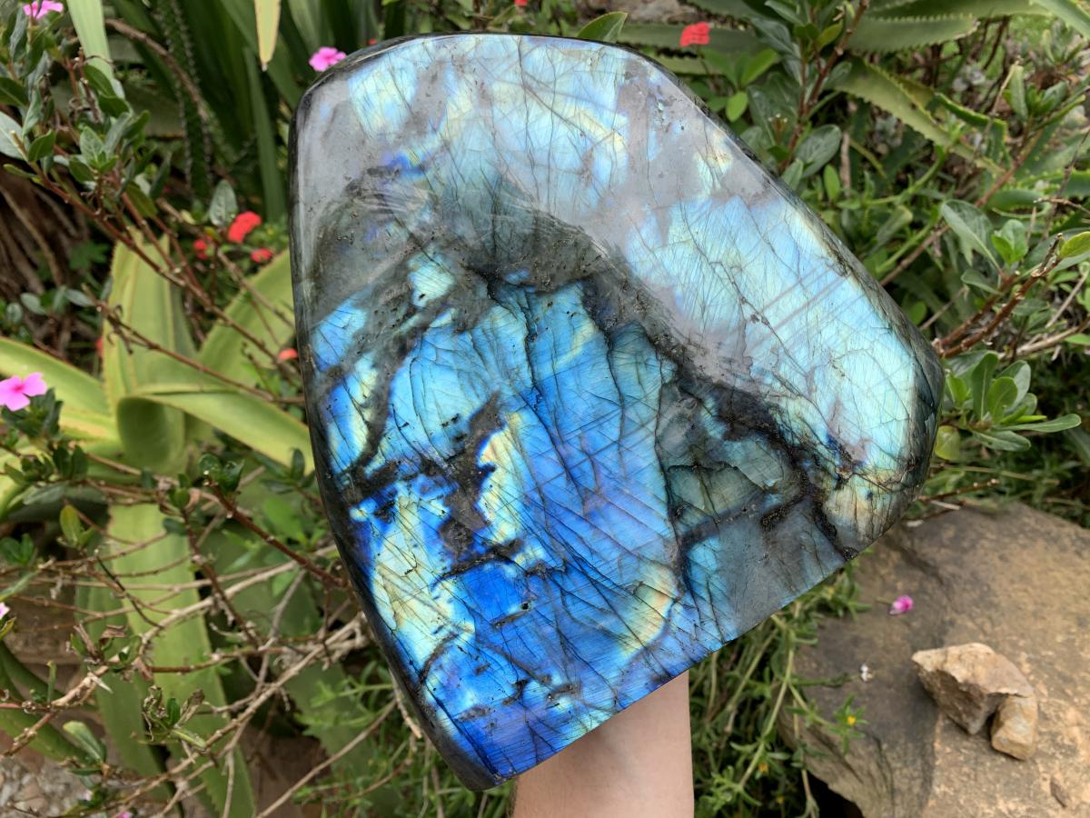 Polished XL Blue Flash Labradorite Standing Free Form x 1 From Tulear, Madagascar