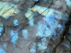 Polished XL Blue Flash Labradorite Standing Free Form x 1 From Tulear, Madagascar