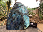 Polished XL Blue Flash Labradorite Standing Free Form x 1 From Tulear, Madagascar