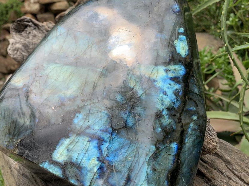 Polished XL Blue Flash Labradorite Standing Free Form x 1 From Tulear, Madagascar