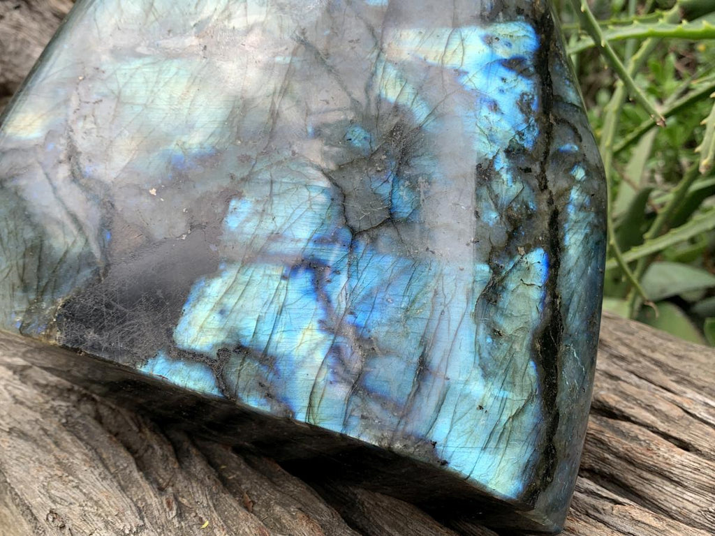 Polished XL Blue Flash Labradorite Standing Free Form x 1 From Tulear, Madagascar