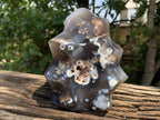 Polished Large Agate Flame Sculpture  x 1 From Madagascar