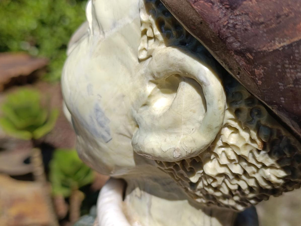 Hand Carved Verdite and African Butter Jade Royal African Woman Bust Sculpture x 1 From Southern Africa