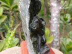 Hand Carved Scenic Buffalo Under a Tree, Verdite Plate Sculpture x 1 From Zimbabwe