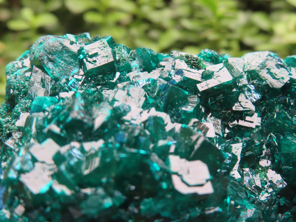 Natural Dioptase Specimen on a Dolomite Matrix x 1 From Likasi, Congo