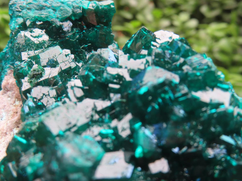 Natural Dioptase Specimen on a Dolomite Matrix x 1 From Likasi, Congo