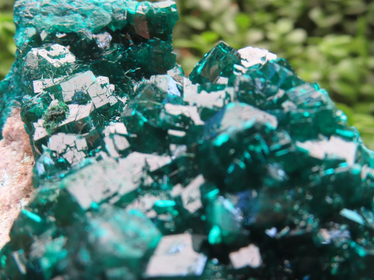 Natural Dioptase Specimen on a Dolomite Matrix x 1 From Likasi, Congo