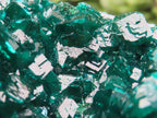 Natural Dioptase Specimen on a Dolomite Matrix x 1 From Likasi, Congo