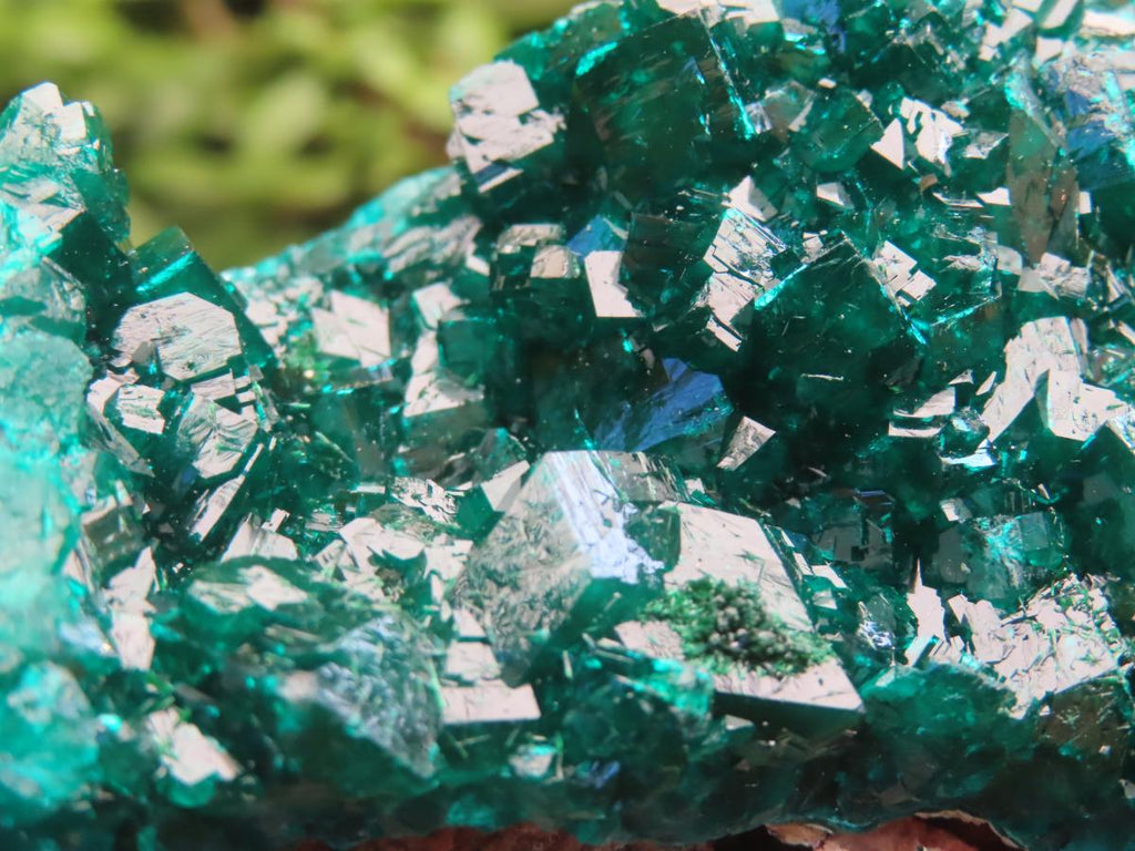 Natural Dioptase Specimen on a Dolomite Matrix x 1 From Likasi, Congo