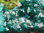 Natural Dioptase Specimen on a Dolomite Matrix x 1 From Likasi, Congo