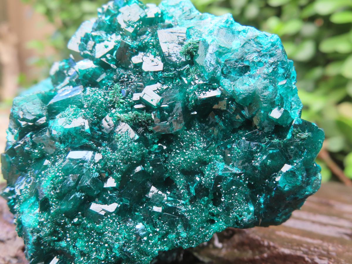 Natural Dioptase Specimen on a Dolomite Matrix x 1 From Likasi, Congo