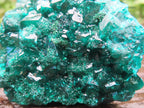 Natural Dioptase Specimen on a Dolomite Matrix x 1 From Likasi, Congo