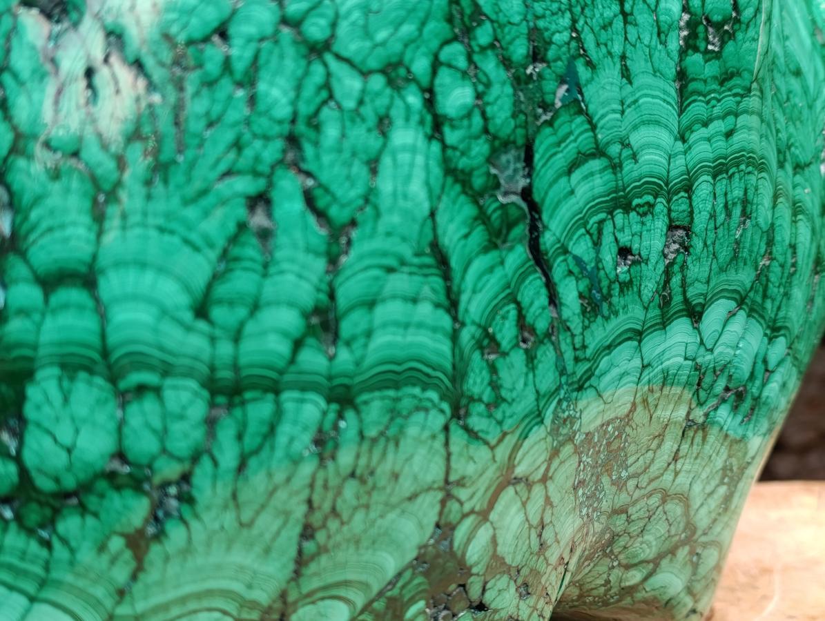 Polished XL 75 kg Flower Banded Malachite Specimen x 1 From Congo