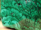 Polished XL 75 kg Flower Banded Malachite Specimen x 1 From Congo