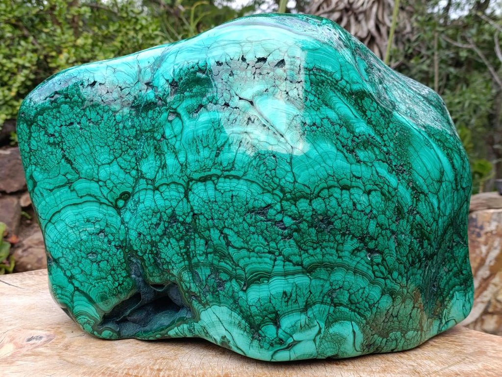 Polished XL 75 kg Flower Banded Malachite Specimen x 1 From Congo