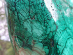 Polished XL 75 kg Flower Banded Malachite Specimen x 1 From Congo