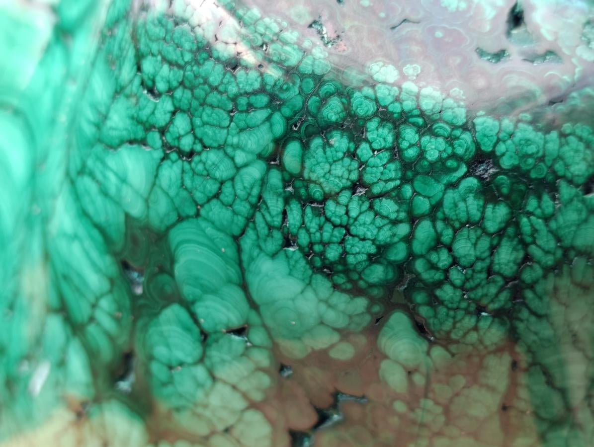 Polished XL 75 kg Flower Banded Malachite Specimen x 1 From Congo