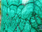 Polished XL 75 kg Flower Banded Malachite Specimen x 1 From Congo