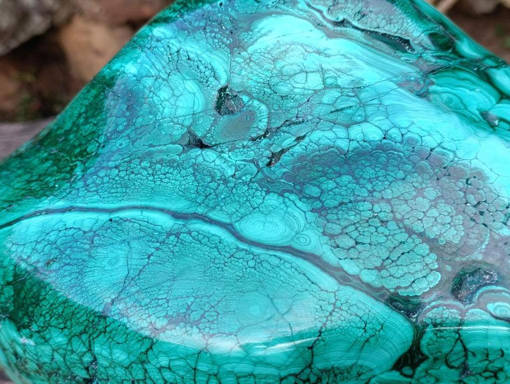 Polished XL 75 kg Flower Banded Malachite Specimen x 1 From Congo