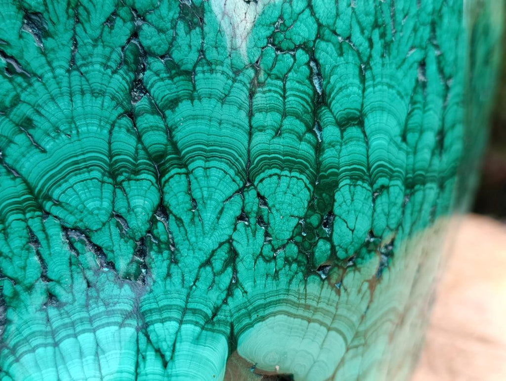 Polished XL 75 kg Flower Banded Malachite Specimen x 1 From Congo