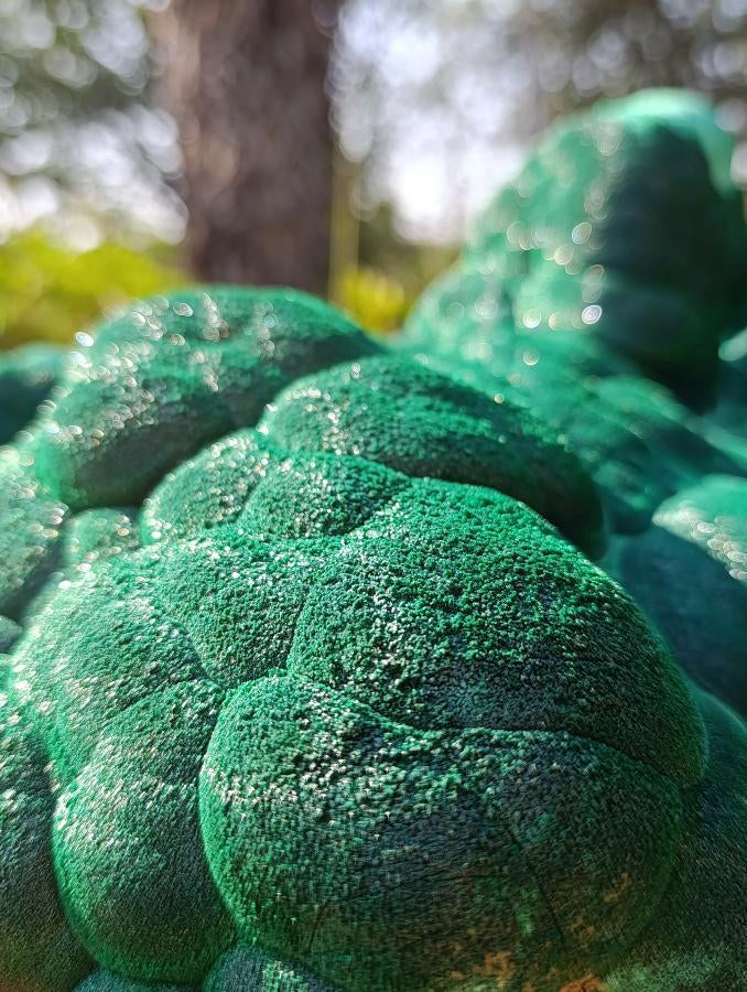 Natural XXL Crystalline Coated Malachite Stalagmite Specimen x 1 From Kolwezi, Congo