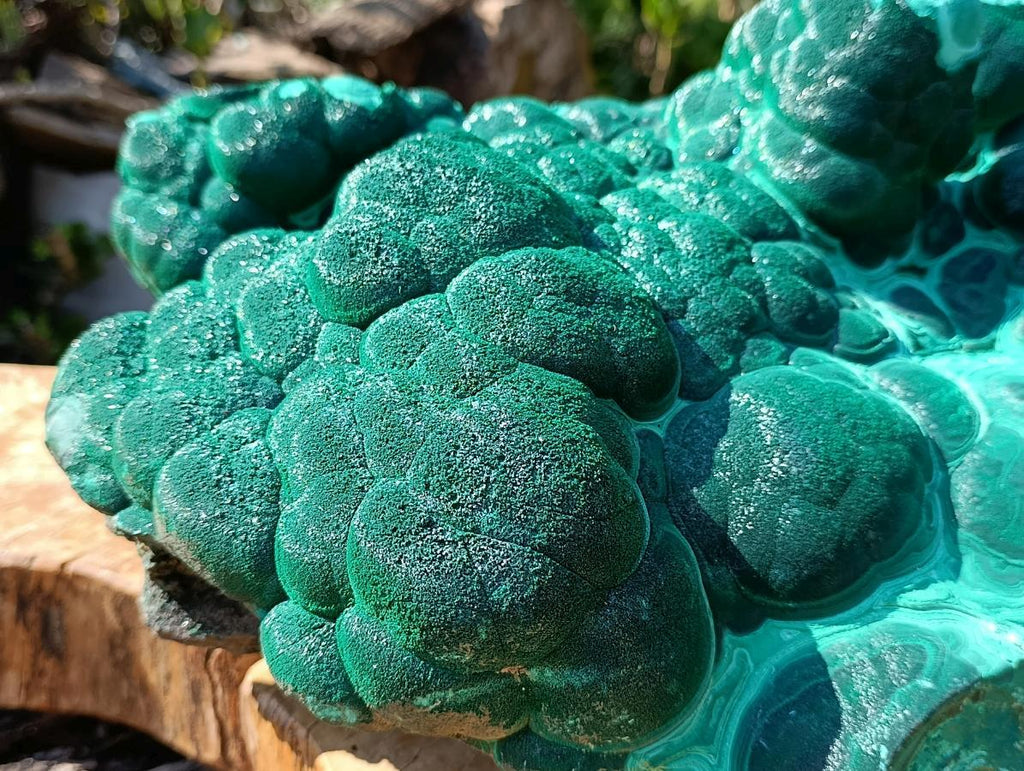 Natural XXL Crystalline Coated Malachite Stalagmite Specimen x 1 From Kolwezi, Congo