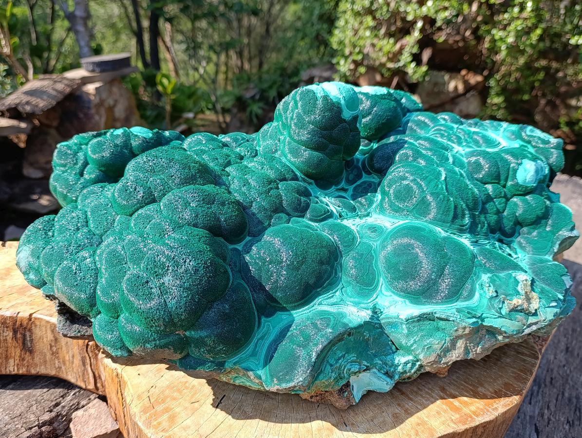 Natural XXL Crystalline Coated Malachite Stalagmite Specimen x 1 From Kolwezi, Congo