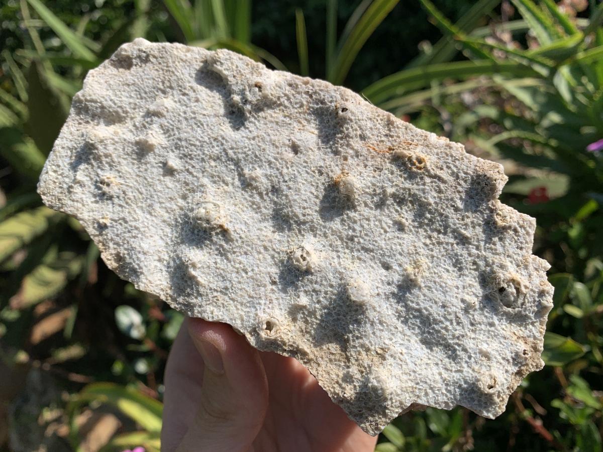 Natural Snow Finger Drusy Coated Calcite Cluster x 1 From Albert's Mountain, Lesotho