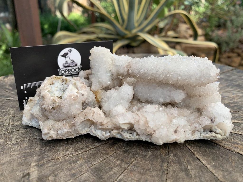 Natural Snow Finger Drusy Coated Calcite Cluster x 1 From Albert's Mountain, Lesotho