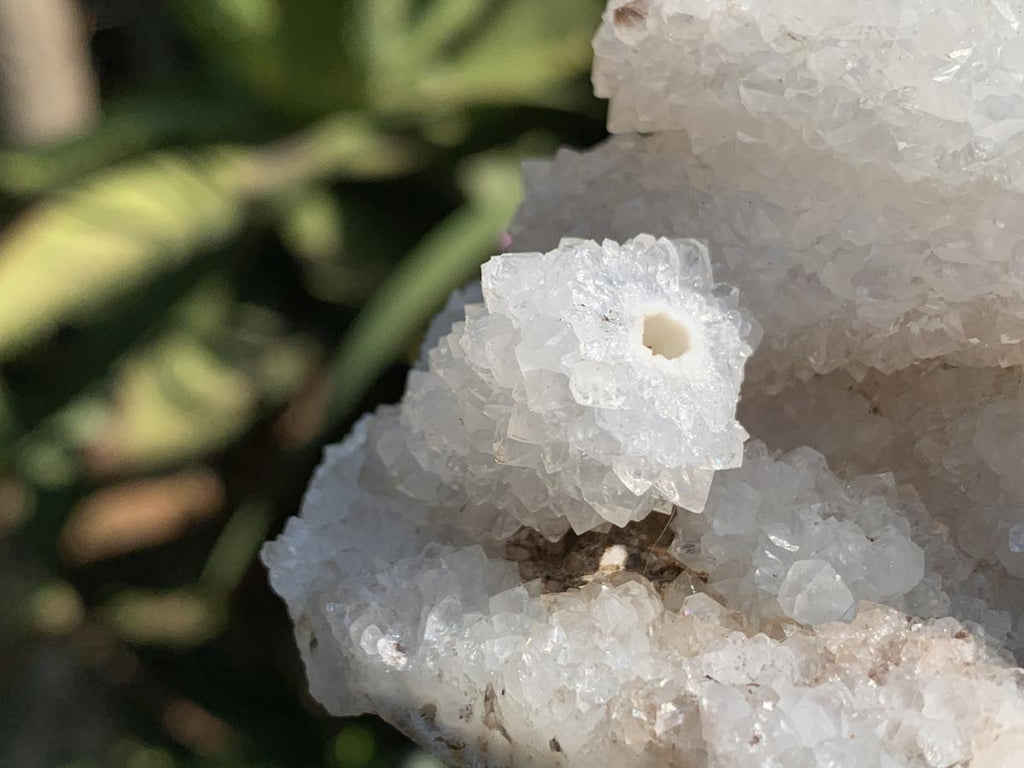 Natural Snow Finger Drusy Coated Calcite Cluster x 1 From Albert's Mountain, Lesotho
