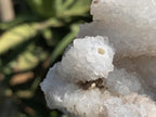 Natural Snow Finger Drusy Coated Calcite Cluster x 1 From Albert's Mountain, Lesotho