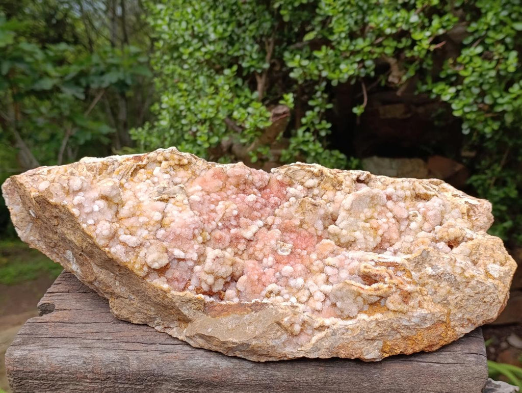 Natural XL Botryoidal Spirit Quartz Crystal Plate x 1 From South Africa
