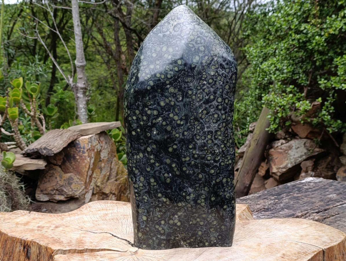 Hand Made XXL Stromatolite Standing Leaf Sculpture x 1 From Mahajanga, Madagascar