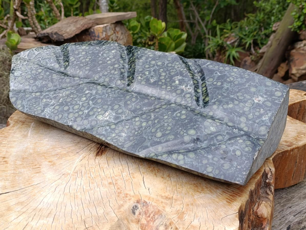 Hand Made XXL Stromatolite Standing Leaf Sculpture x 1 From Mahajanga, Madagascar