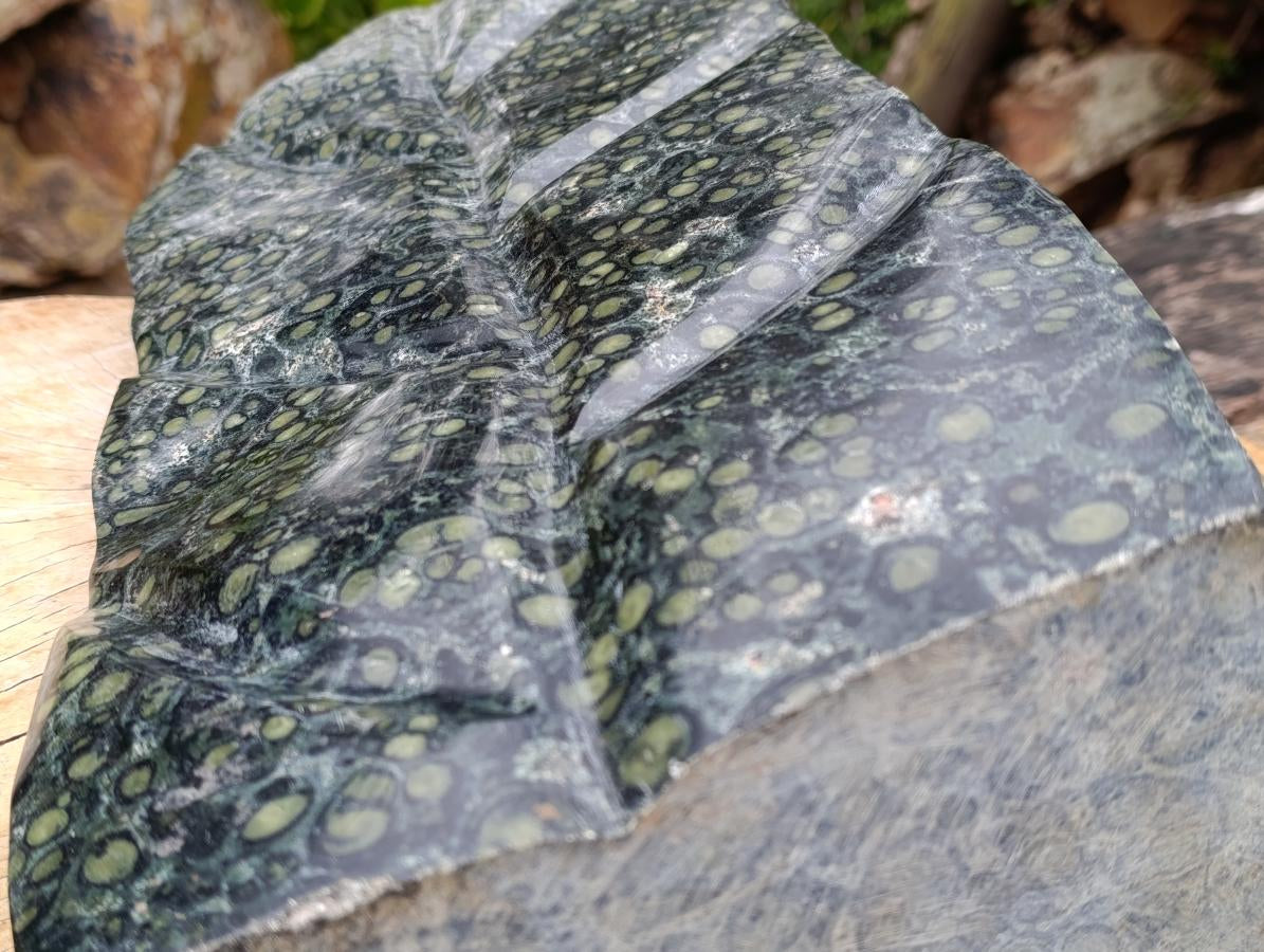 Hand Made XXL Stromatolite Standing Leaf Sculpture x 1 From Mahajanga, Madagascar